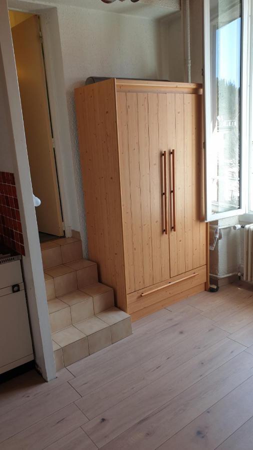 Joli Studio Chamechaude Saint-Pierre-de-Chartreuse Ngoại thất bức ảnh